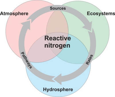 Reactive nitrogen